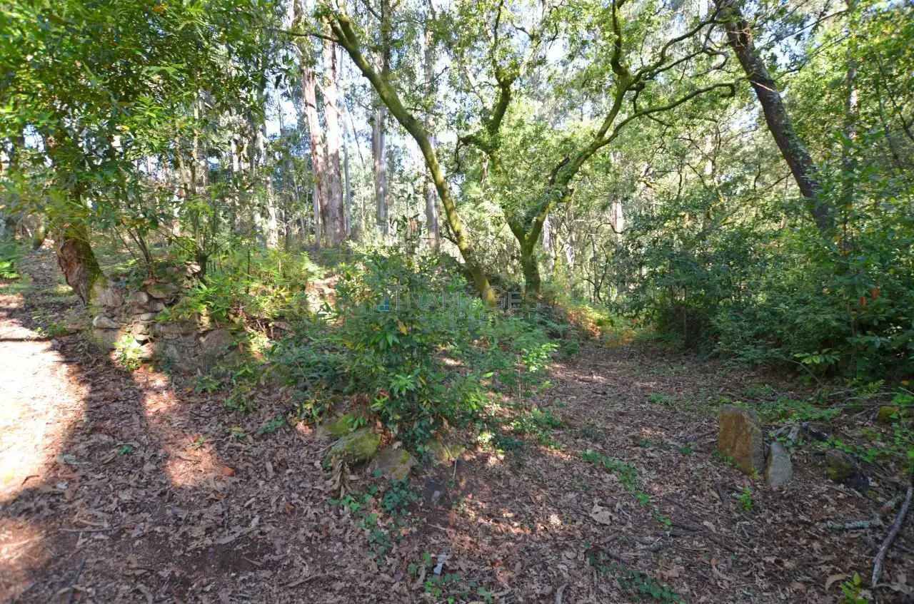 Finca rústica en venta en O Rosal   con Calefacción, Jardín privado y Terraza