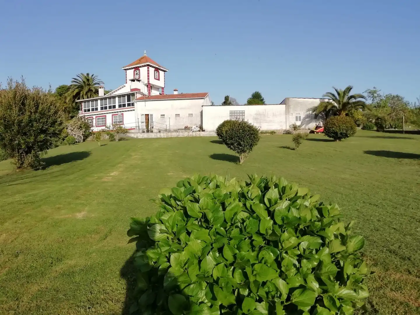 Houses for sale in Sambollo, Miño