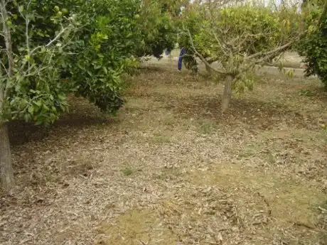 Terreny rústic en venda a Ribera de Molina - Torrealta, imagen 8