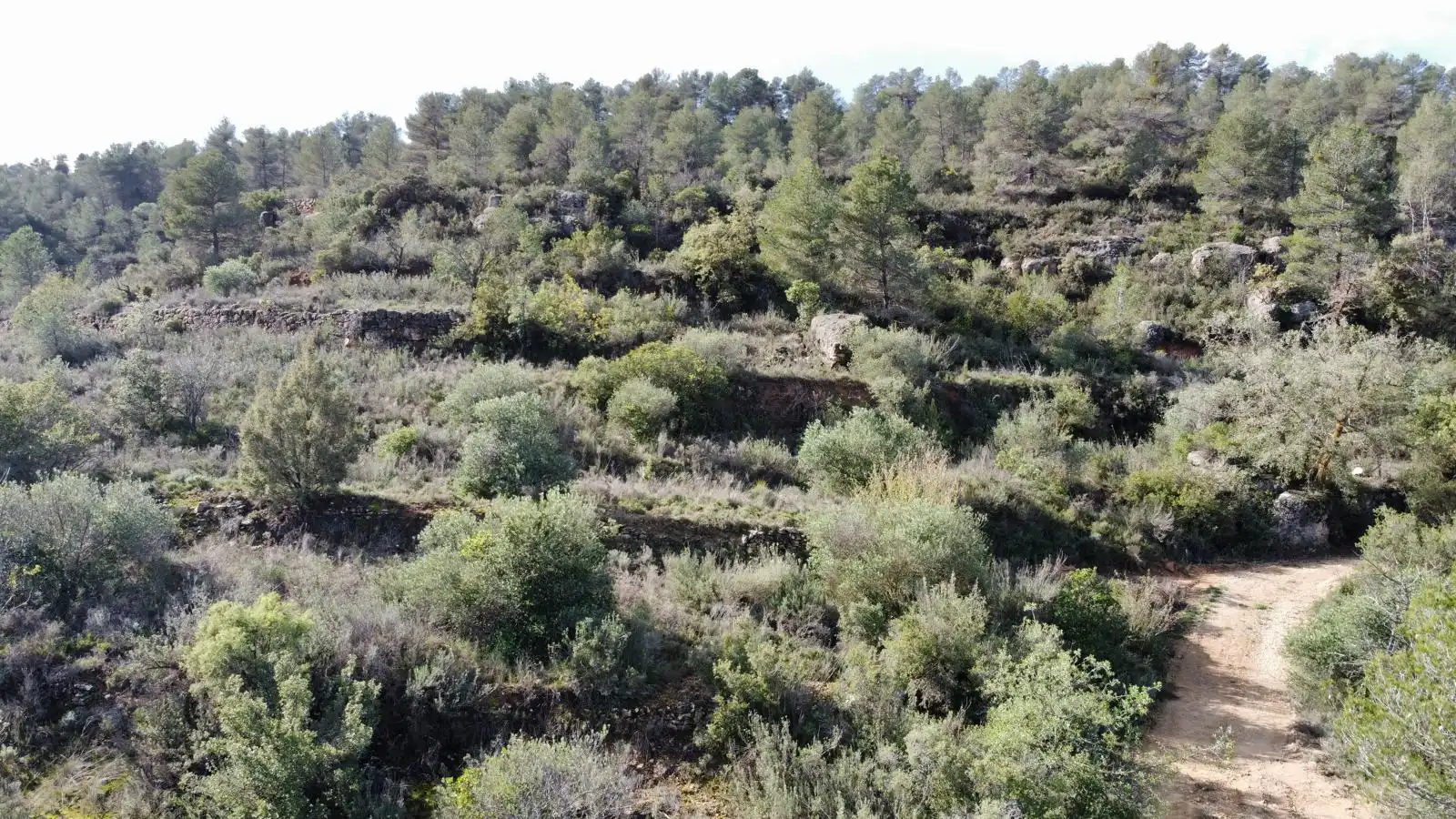 Terreno rustico in vendita a Cervià de Les Garrigues, imagen 7