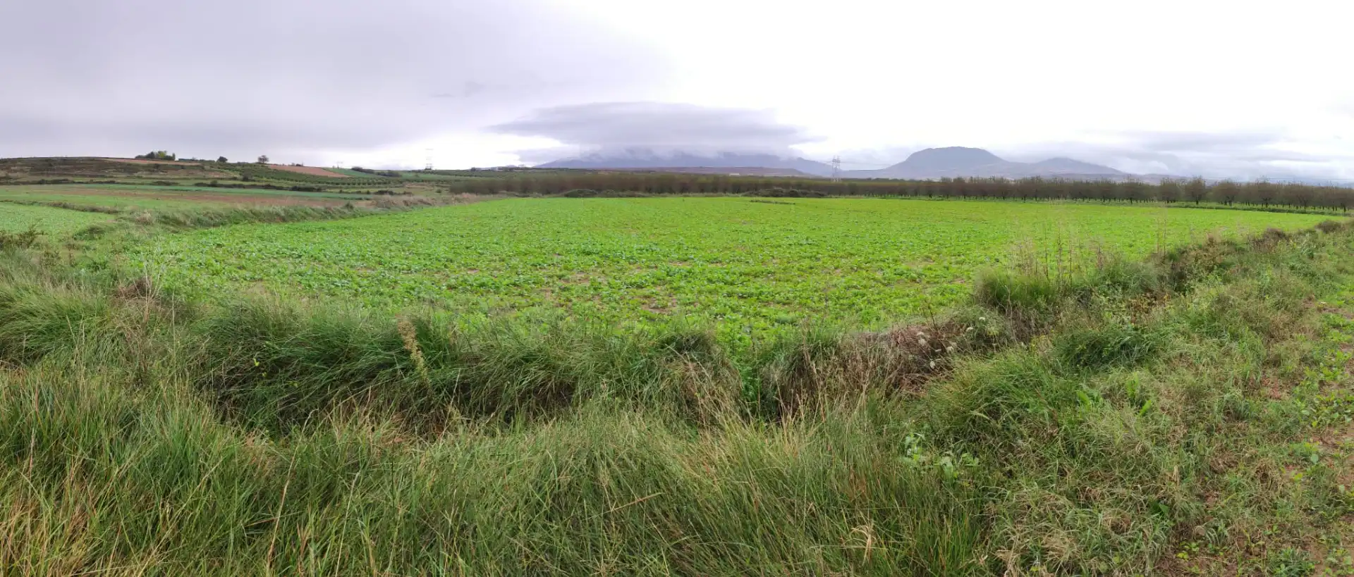Terrenys i solars en venda a Alberite, imagen 2