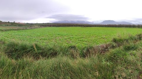 Finca de regadío, immagine 2