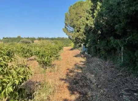 Terreno residencial en venta en Partida Rústica En Hoya De Buñol - El Tollo - Po, imagen 13