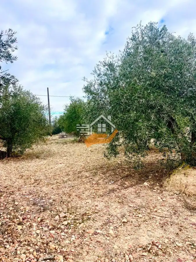 Residential land for sale in Vélez-Rubio, imagen 13