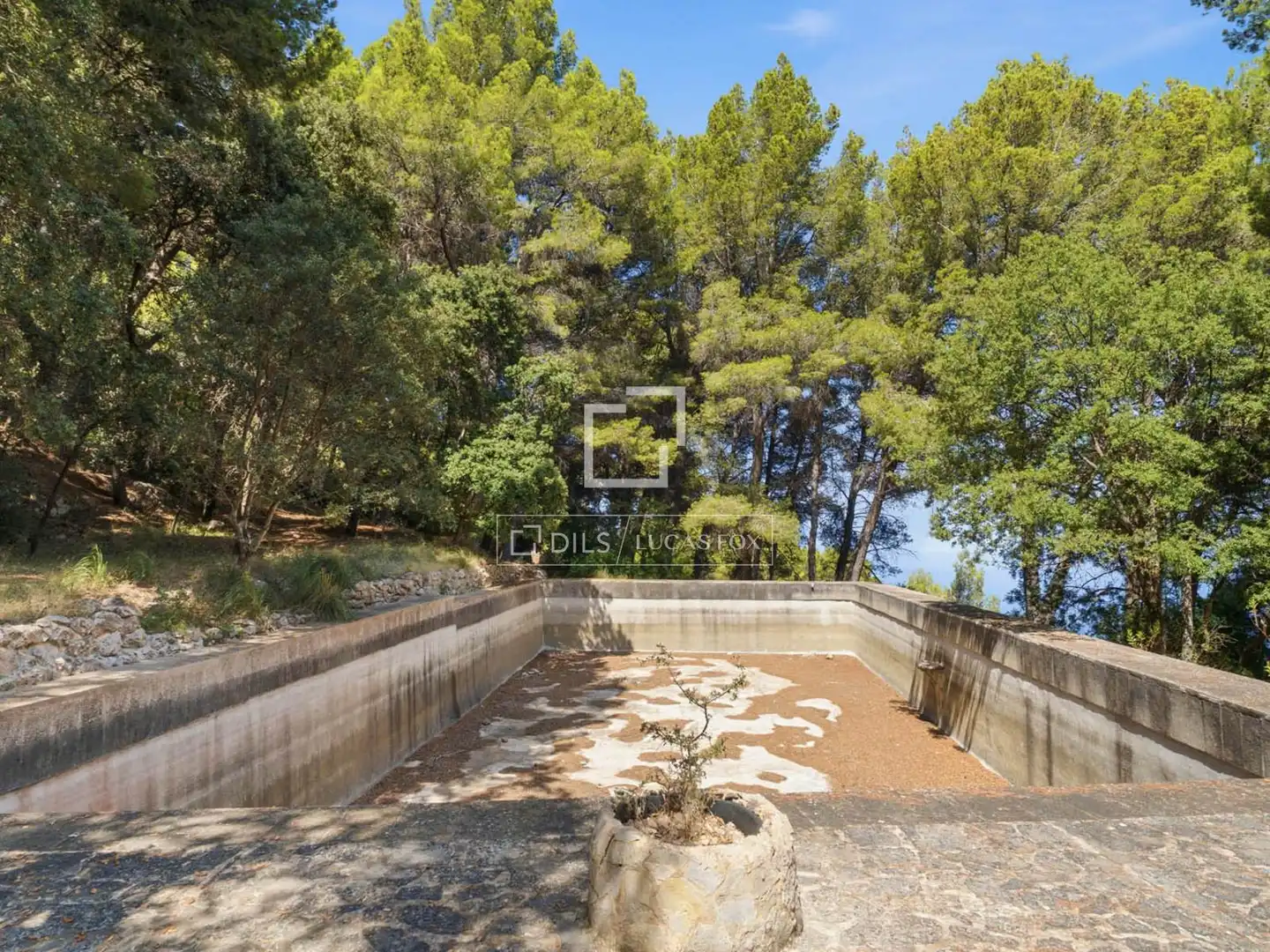 Jardín de Finca rústica en venta en Banyalbufar con Jardín privado y Piscina