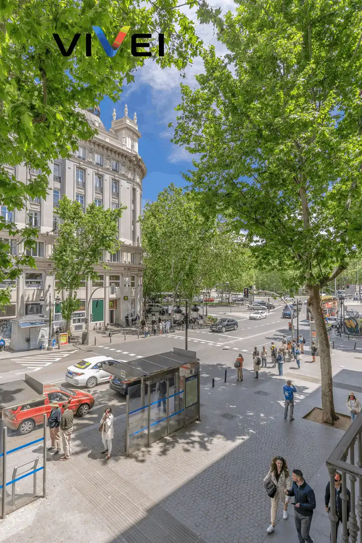 Piso con terraza en venta en Paseo del Prado, imagen 40