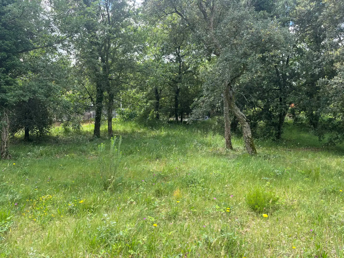 Terrain résidentiel à vendre à Carrer del Alt Camp 5, imagen 5