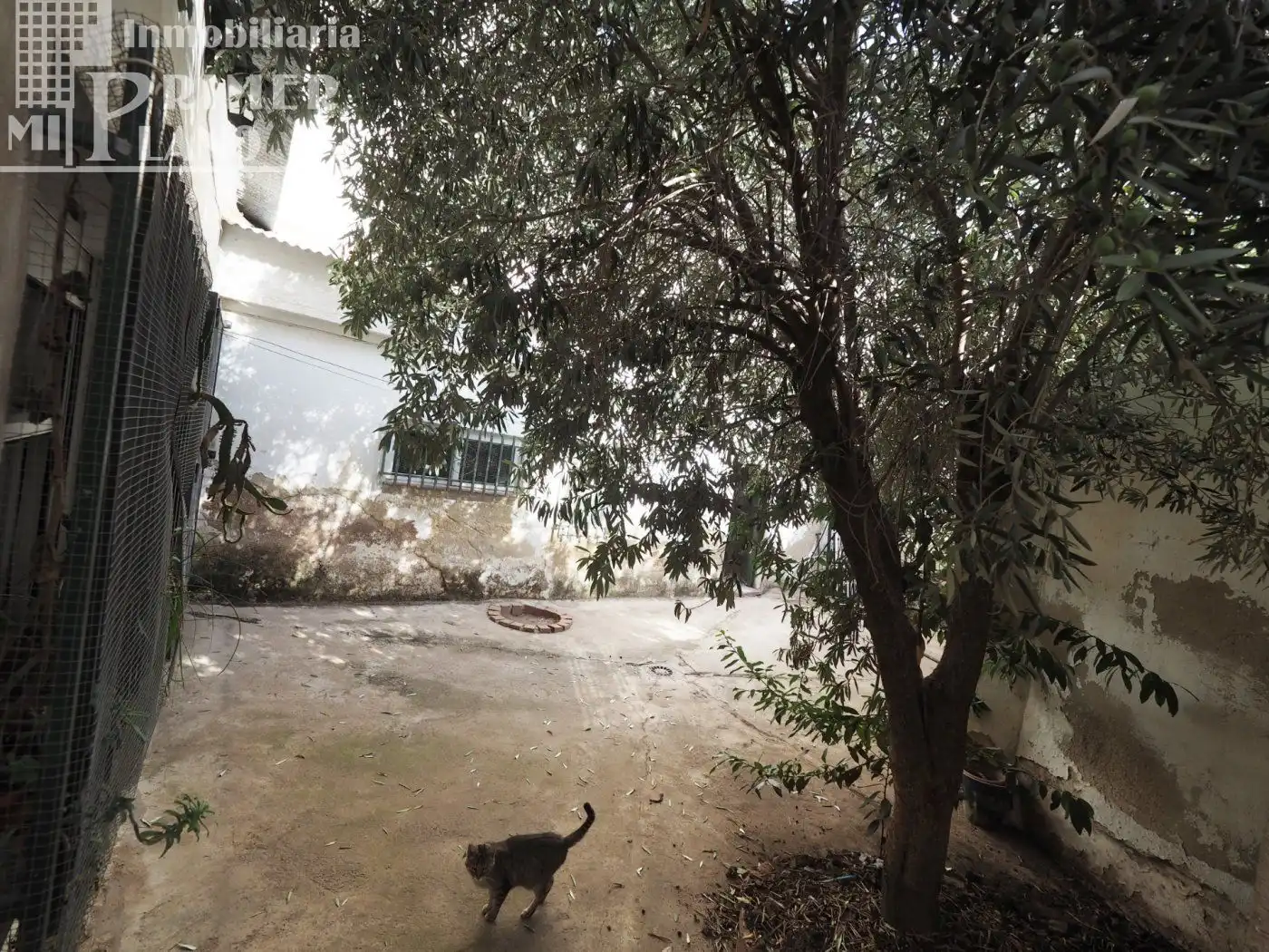 Jardín de Casa o chalet en venta en Tomelloso