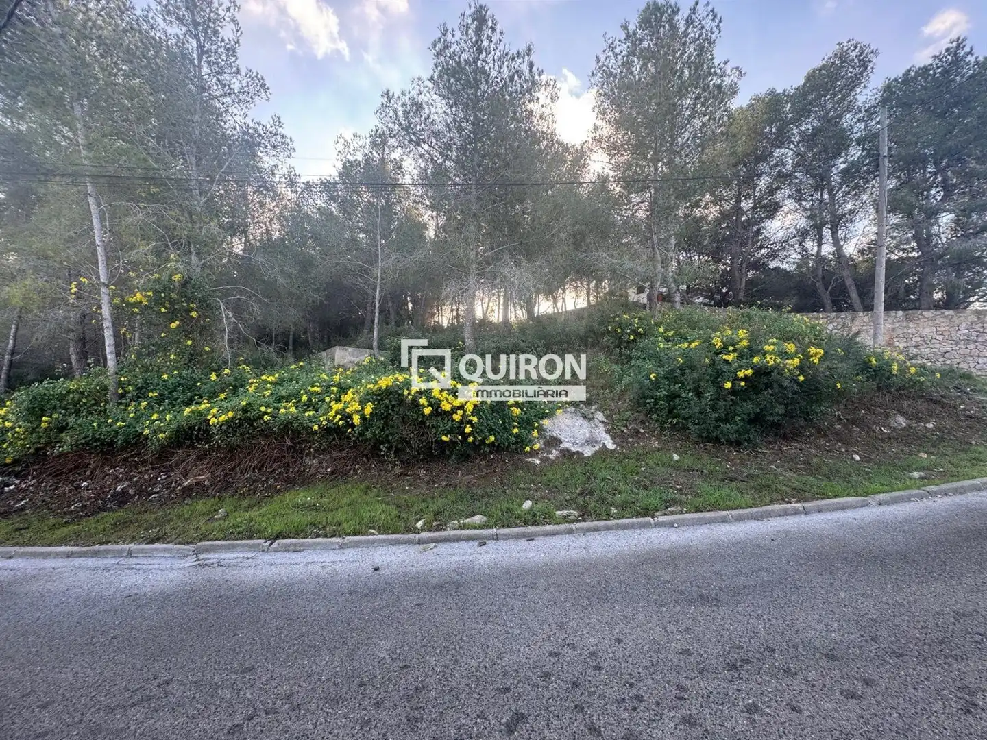 Terreno rustico in vendita a La Bisbal del Penedès