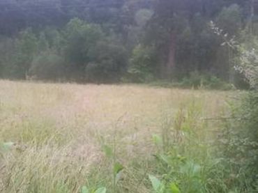Terreno rustico in vendita a Trucios-Turtzioz
