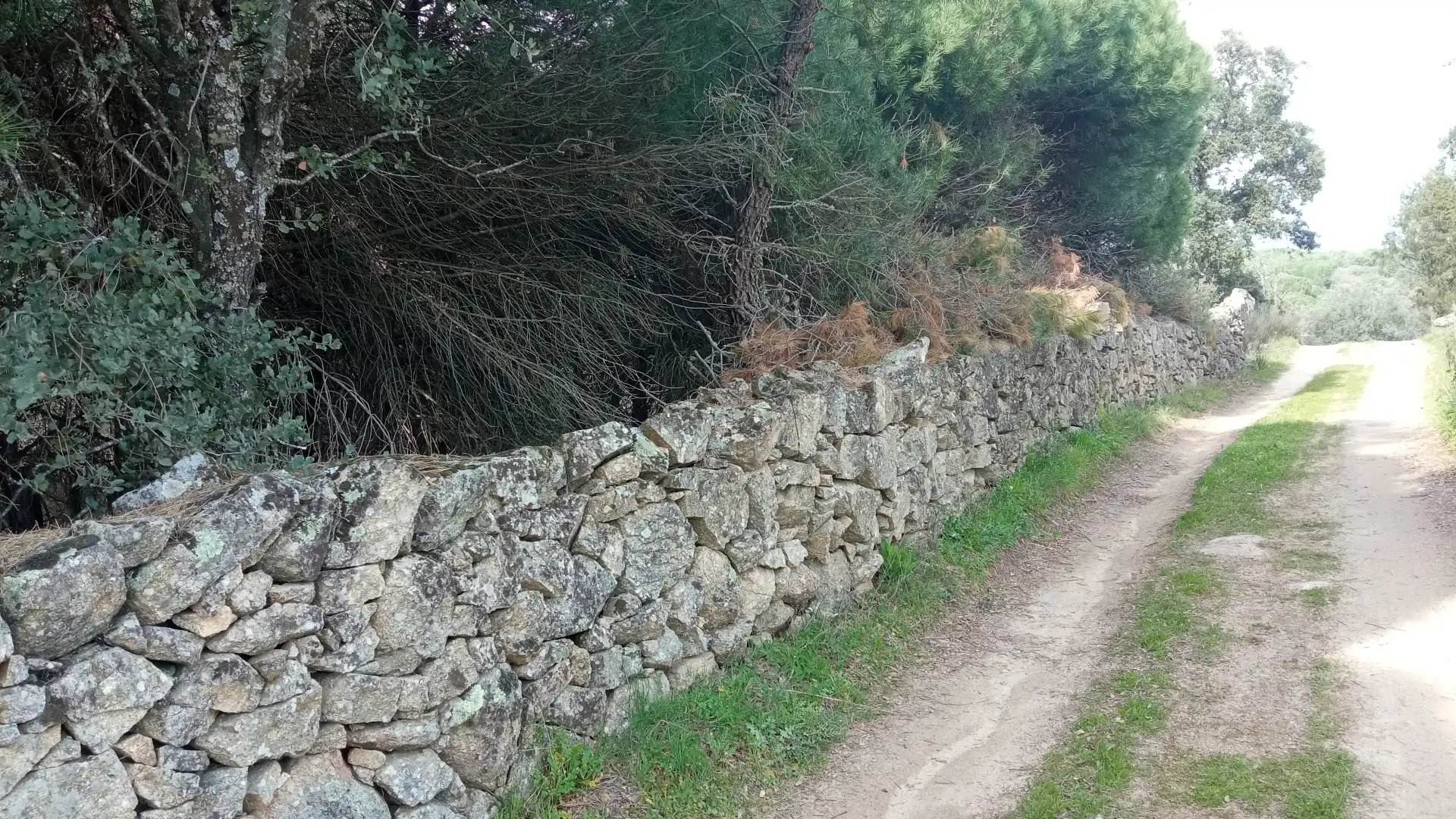 Terreni e lotti in vendita a Sotillo de la Adrada, imagen 6