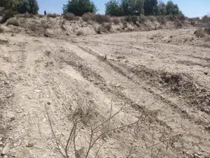 Terreny rústic en venda a Agost, imagen 4