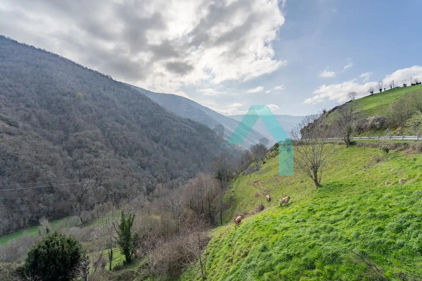Casa adosada en venda en Cangas del Narcea amb Calefacció, Jardí privat i Terrassa