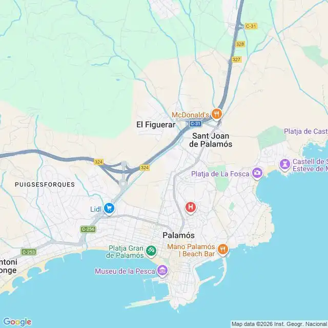 Terrain rustique à vendre à PLA DE NAU Polígono 2 Parcela, imagen 3