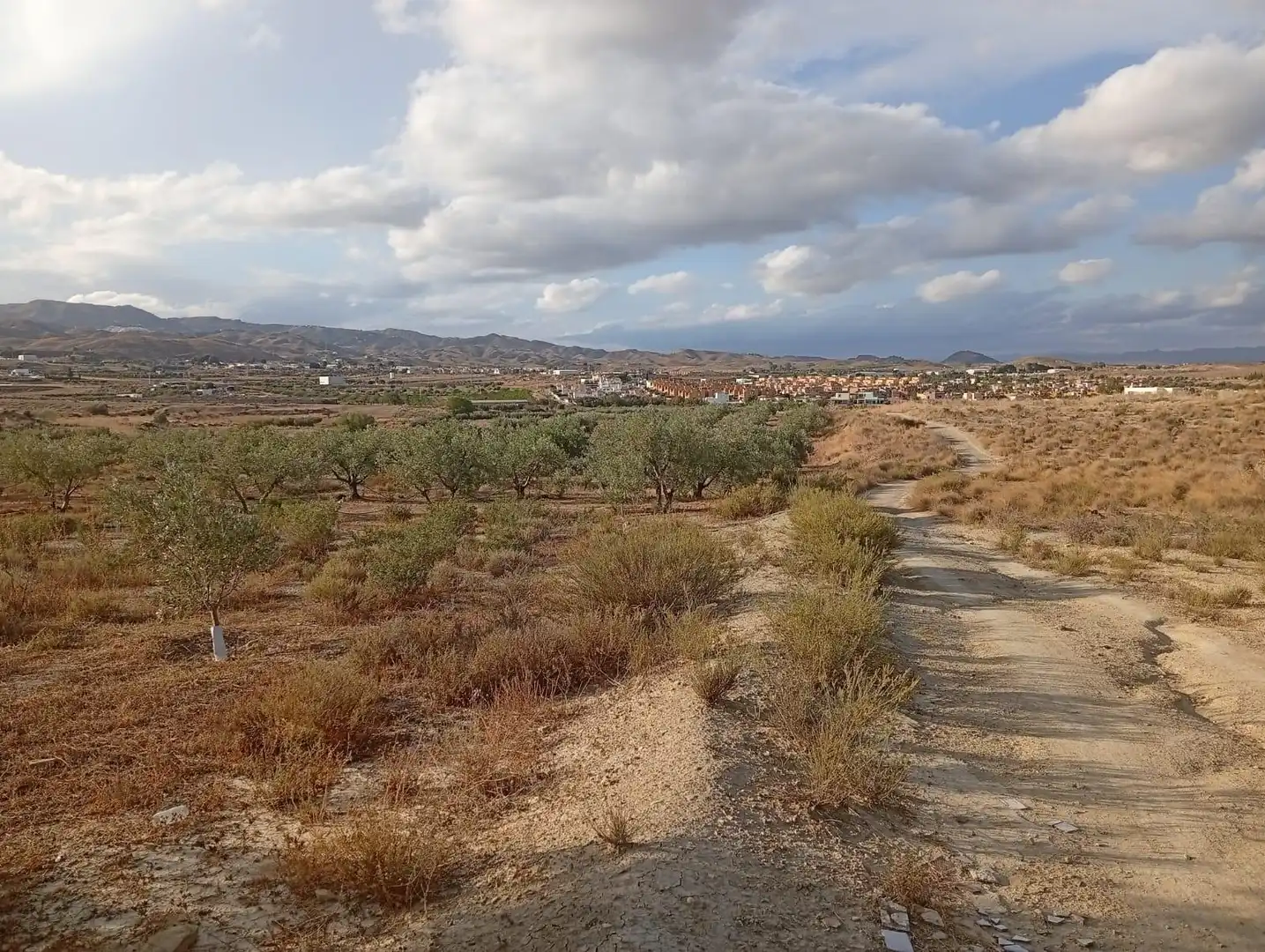 Terrenys i solars en venda a Los Gallardos, imagen 23