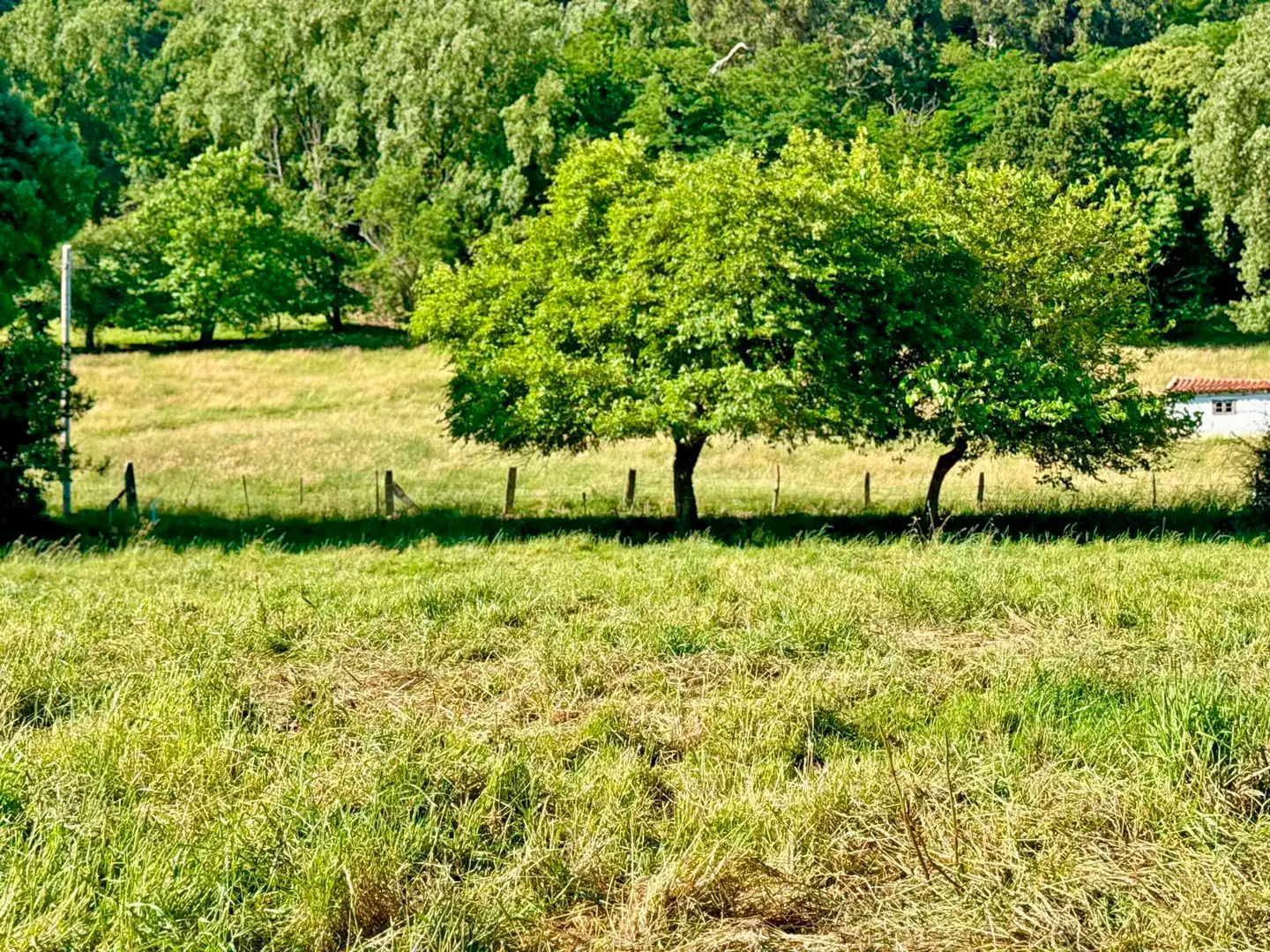Terreno en venta en Medio Cudeyo