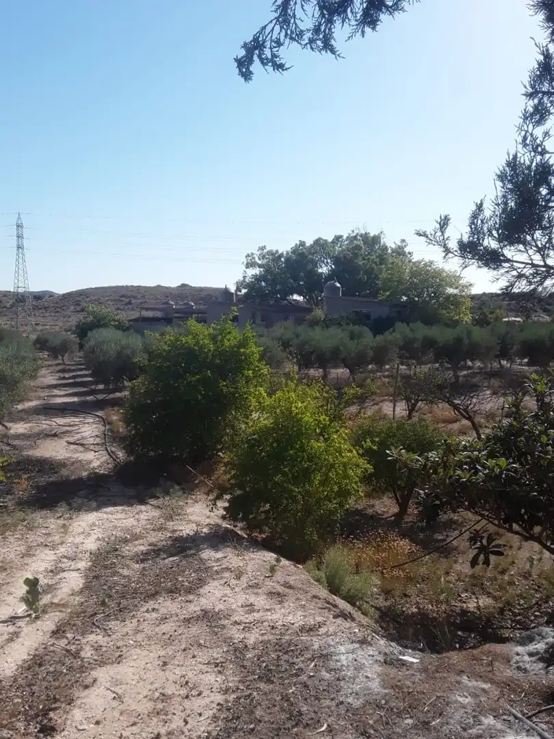 Finca rústica en venta en Agost con Jardín privado, Terraza y Trastero