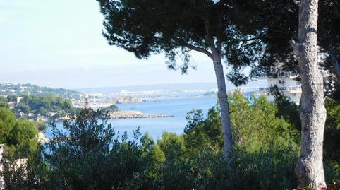 Photo 4 of Land for sale in Palmanova, Illes Balears