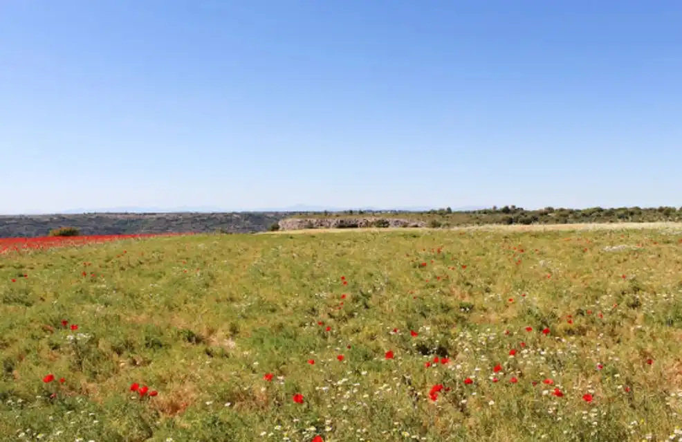 Terreno en venta en Valfermoso de Tajuña