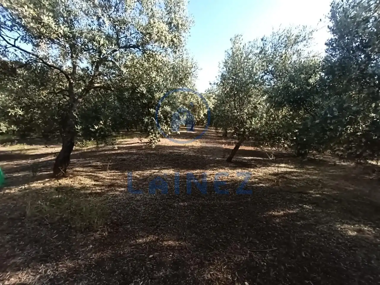 Grundstücke und Bauplätze zum Verkauf in Norte-Sierra, imagen 22