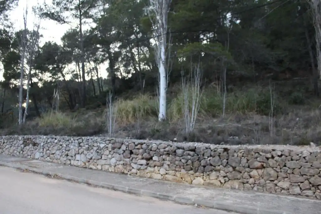 Terreny rústic en venda a ALDEA DE VALLFLOR, imagen 5