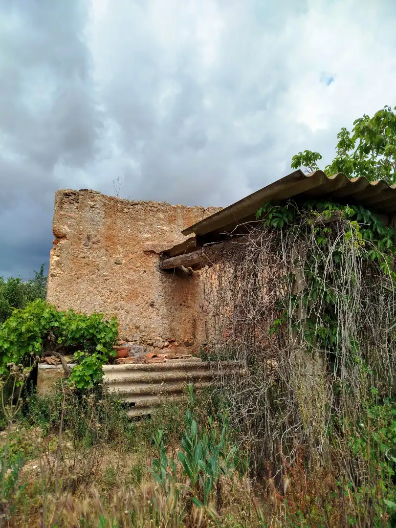 Exterior view of Land for sale in Vilallonga del Camp