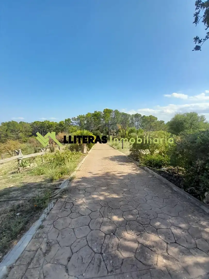 Country homes for sale in Selva