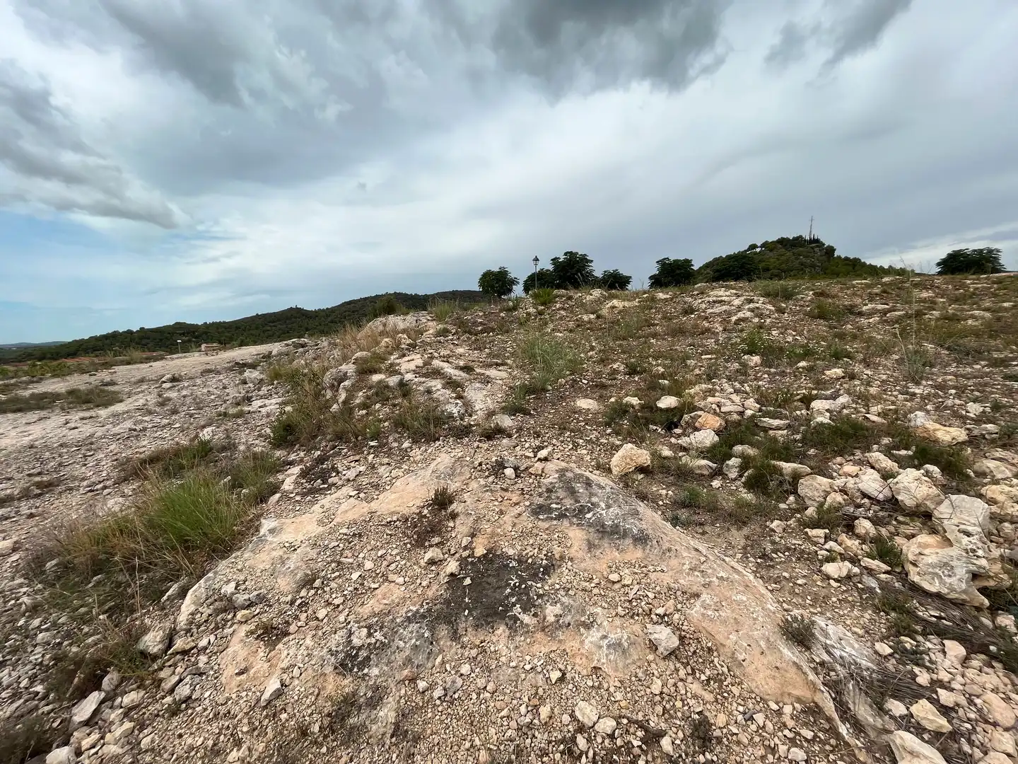 Residencial en venda en Roda de Berà