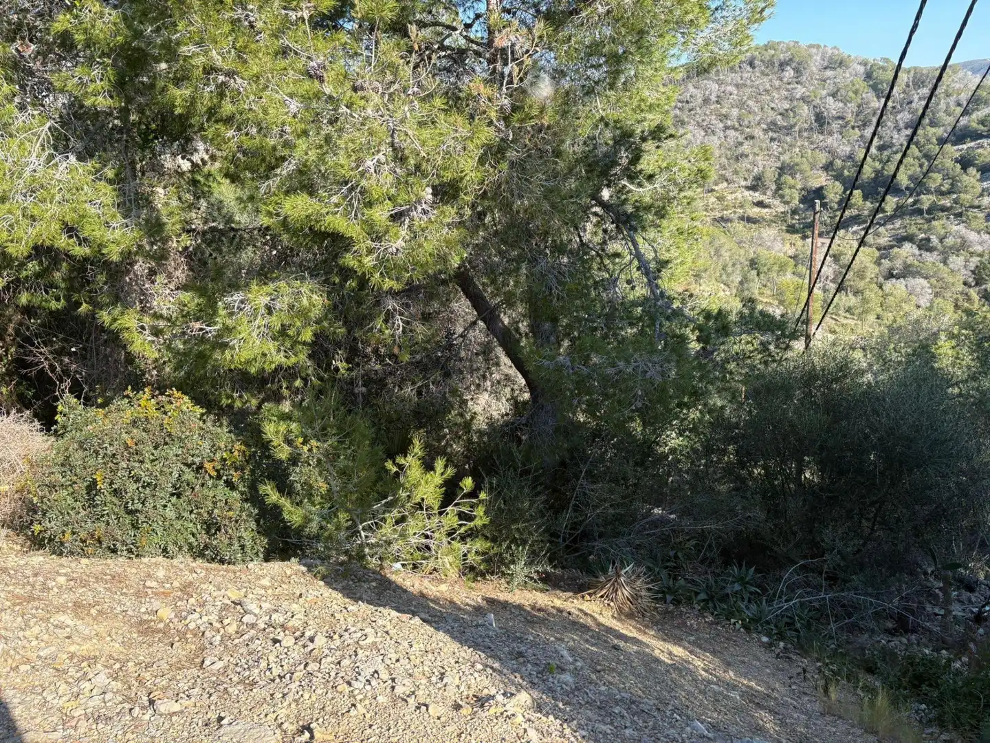 Residential land for sale in Calle JOAN MIRO (MAS TRADER)
