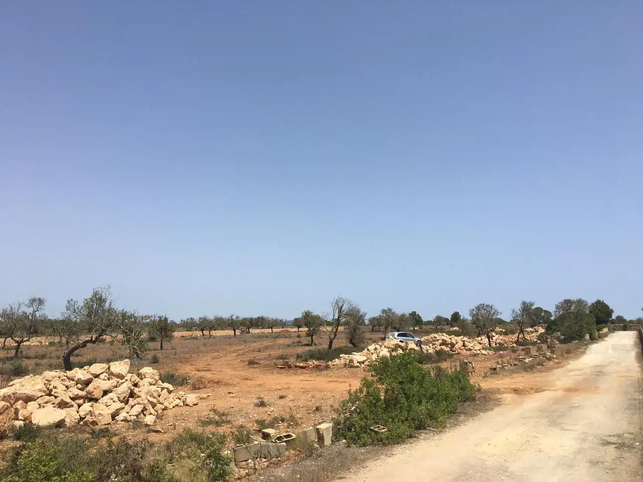 Casa amb piscina en venda a Camí des Pinaret Gran, imagen 17