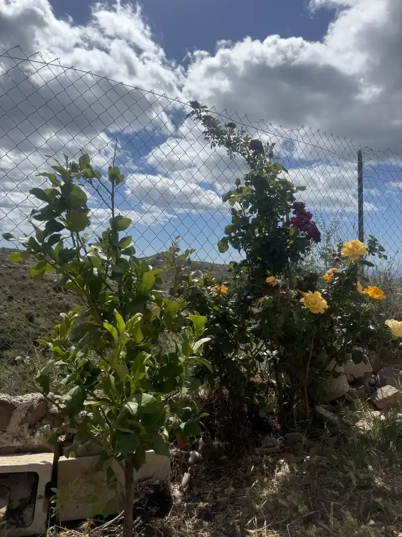 Finca rústica en venda en Moclinejo