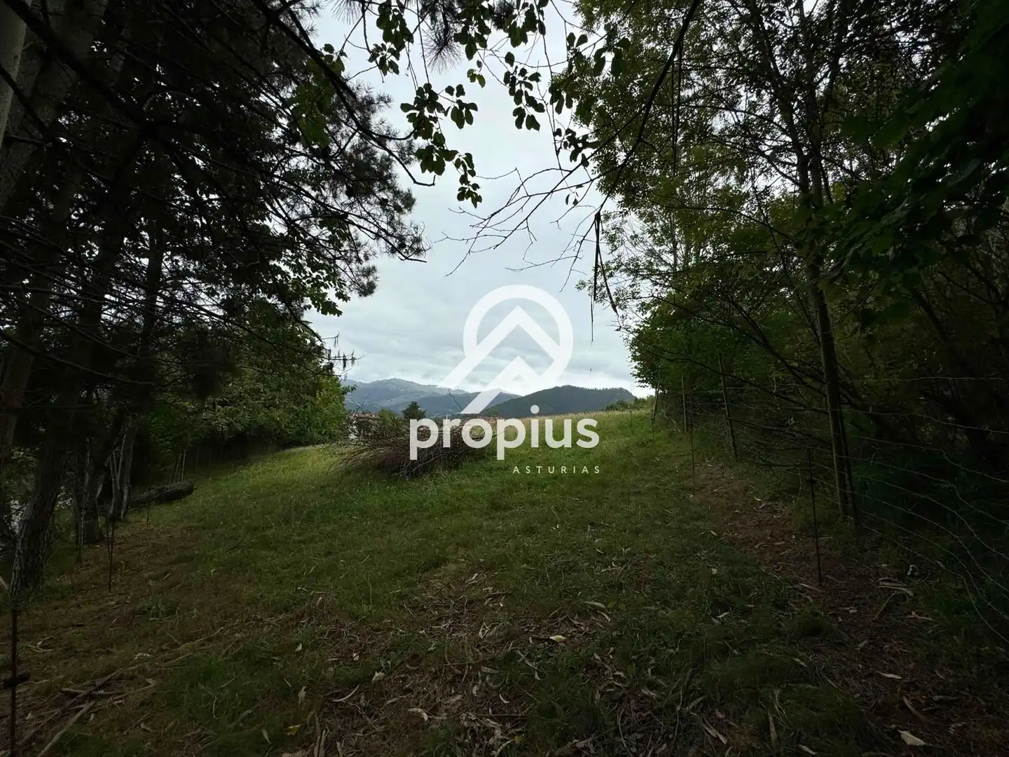 Rural land for sale in Arenas, imagen 15