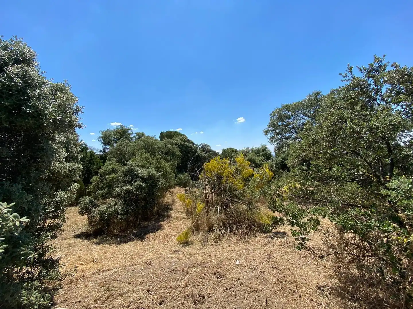 Terrenys i solars en venda a Villa del Prado