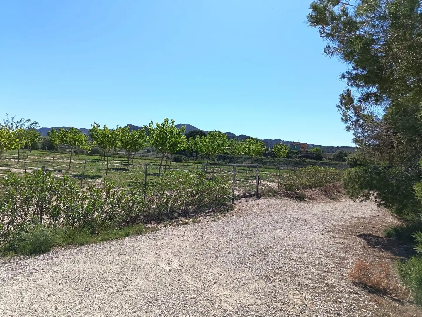 Terreno rústico en venta en Monforte del Cid, imagen 11