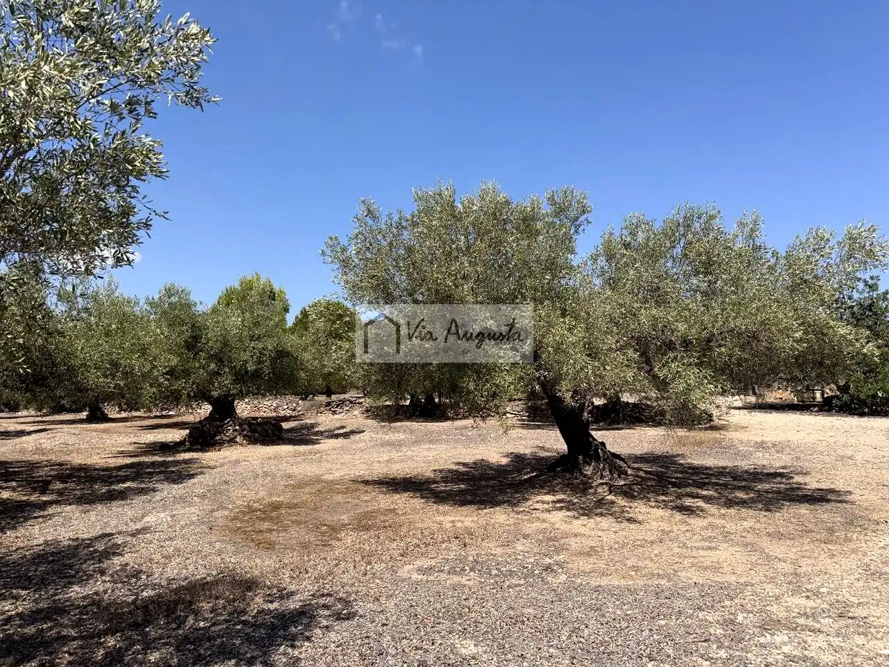 Terrain rustique à vendre à Espinal, imagen 27