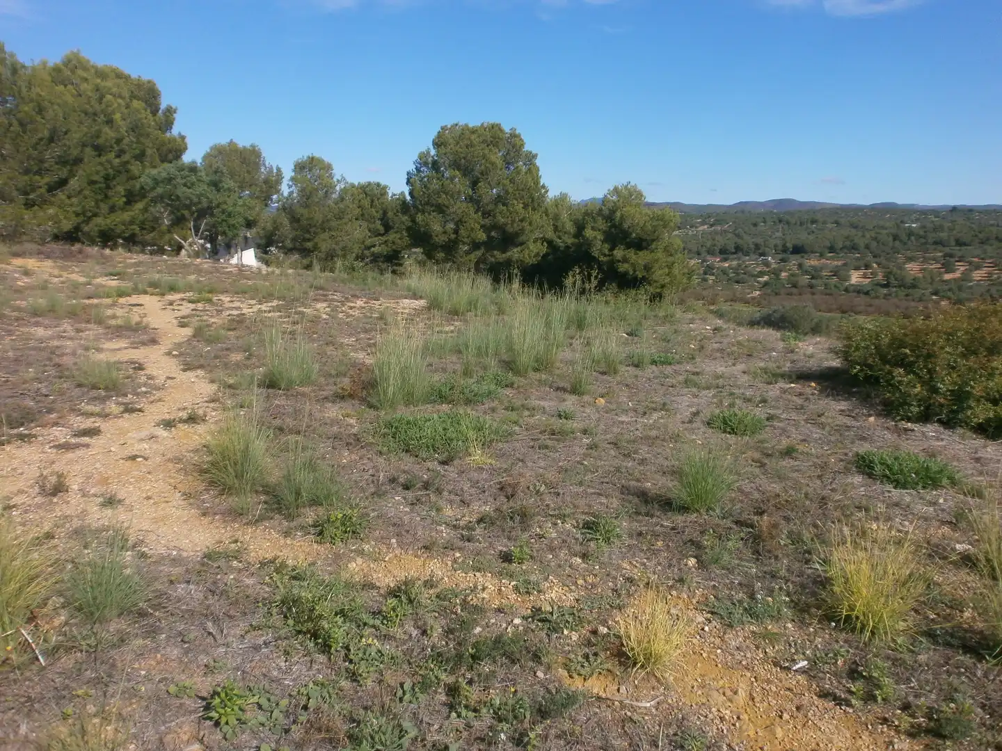 Terreny residencial en venda a Carrer del Mar, imagen 3