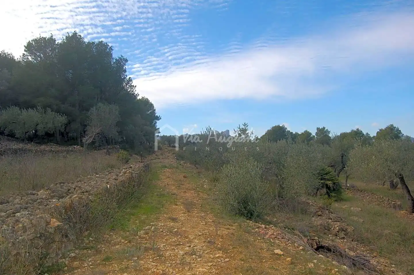 Terreno rustico in vendita a Burgar, imagen 15