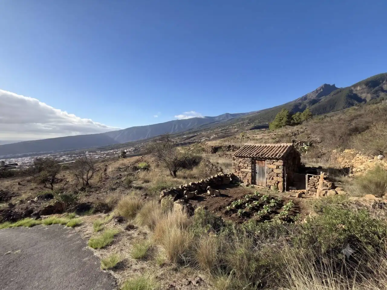 Rural land for sale in Camino Montesinas, imagen 8