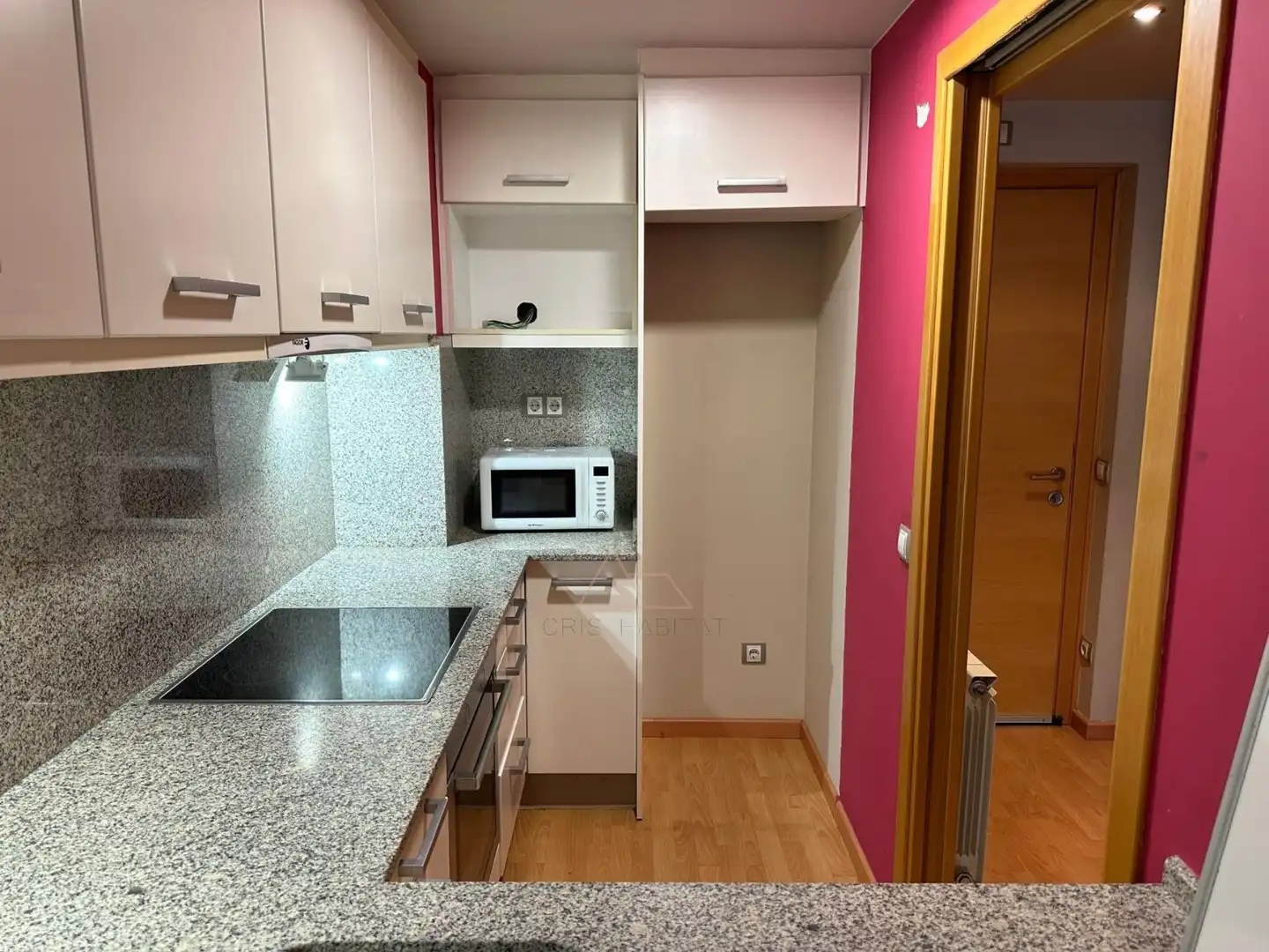 Küche von Maisonette zum Verkauf in Alpicat mit Klimaanlage und Schwimmbad