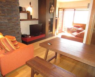 Living room of Apartment for sale in Canfranc  with Storage room, Furnished and Home automation