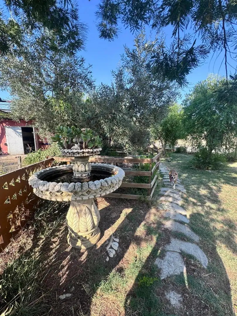 Jardí de Finca rústica en venda en Utrera