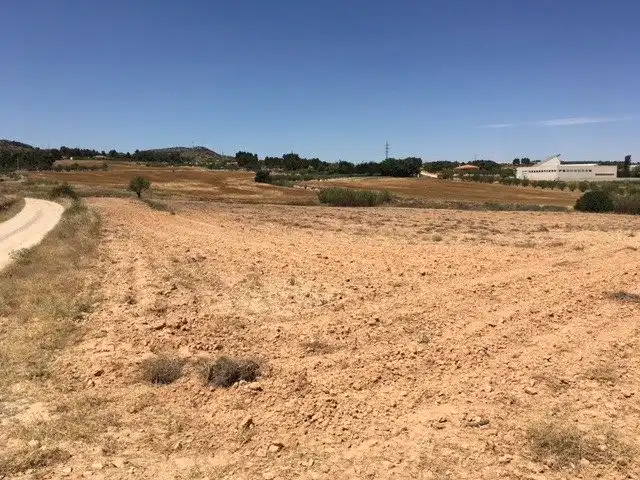Terreno rustico in vendita a Almansa, imagen 3