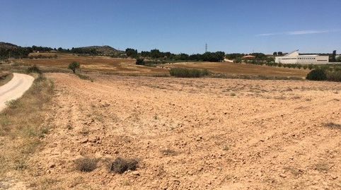 TERRENO CERCANO A LA POBLACIÓN, immagine 3