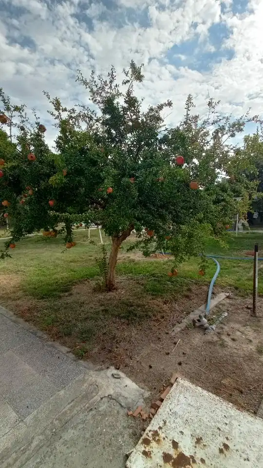 Jardín de Casa o chalet en venta en Pinseque con Calefacción, Jardín privado y Piscina