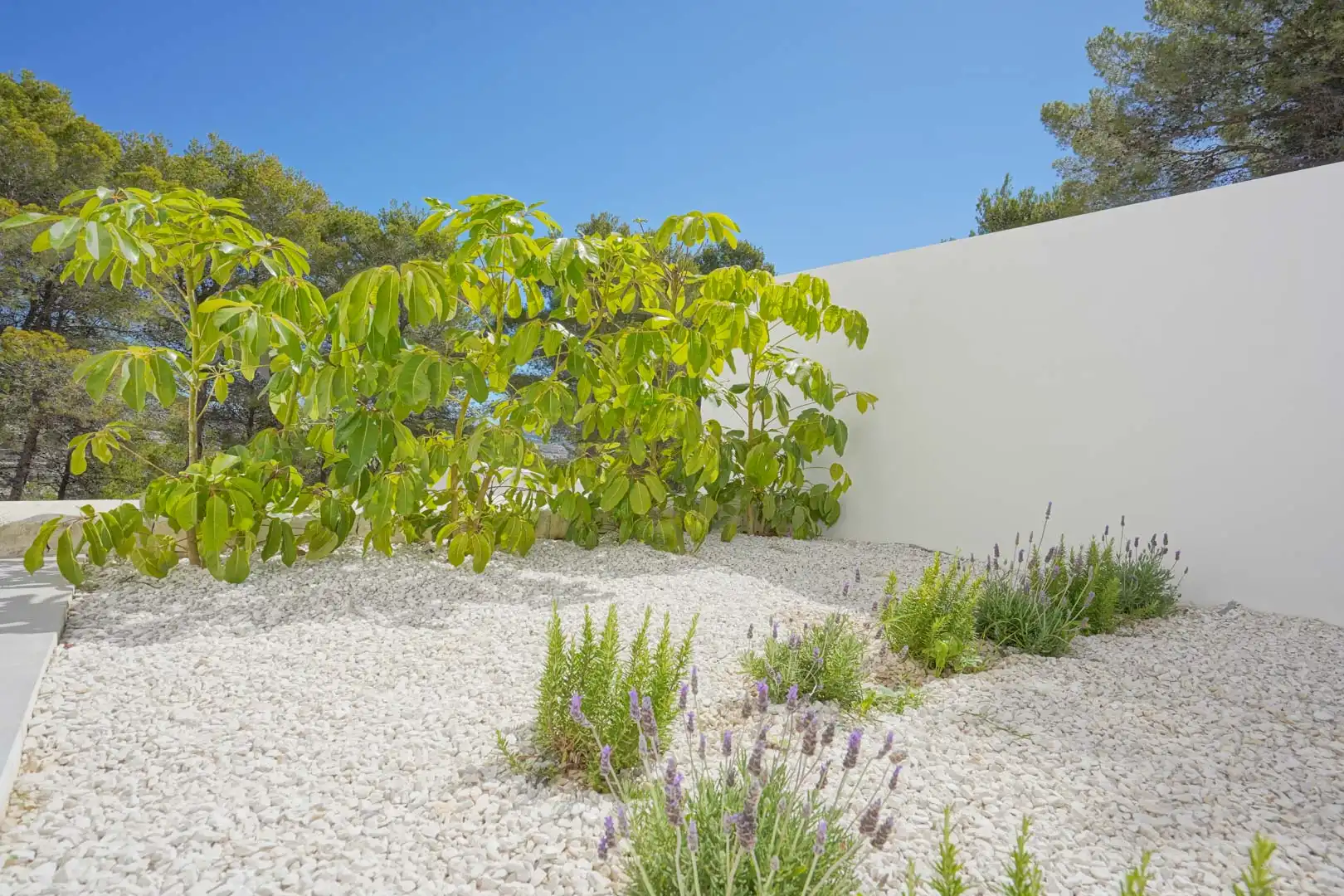 Chalet con terraza en venta en El Portet - Pla de Mar, imagen 44