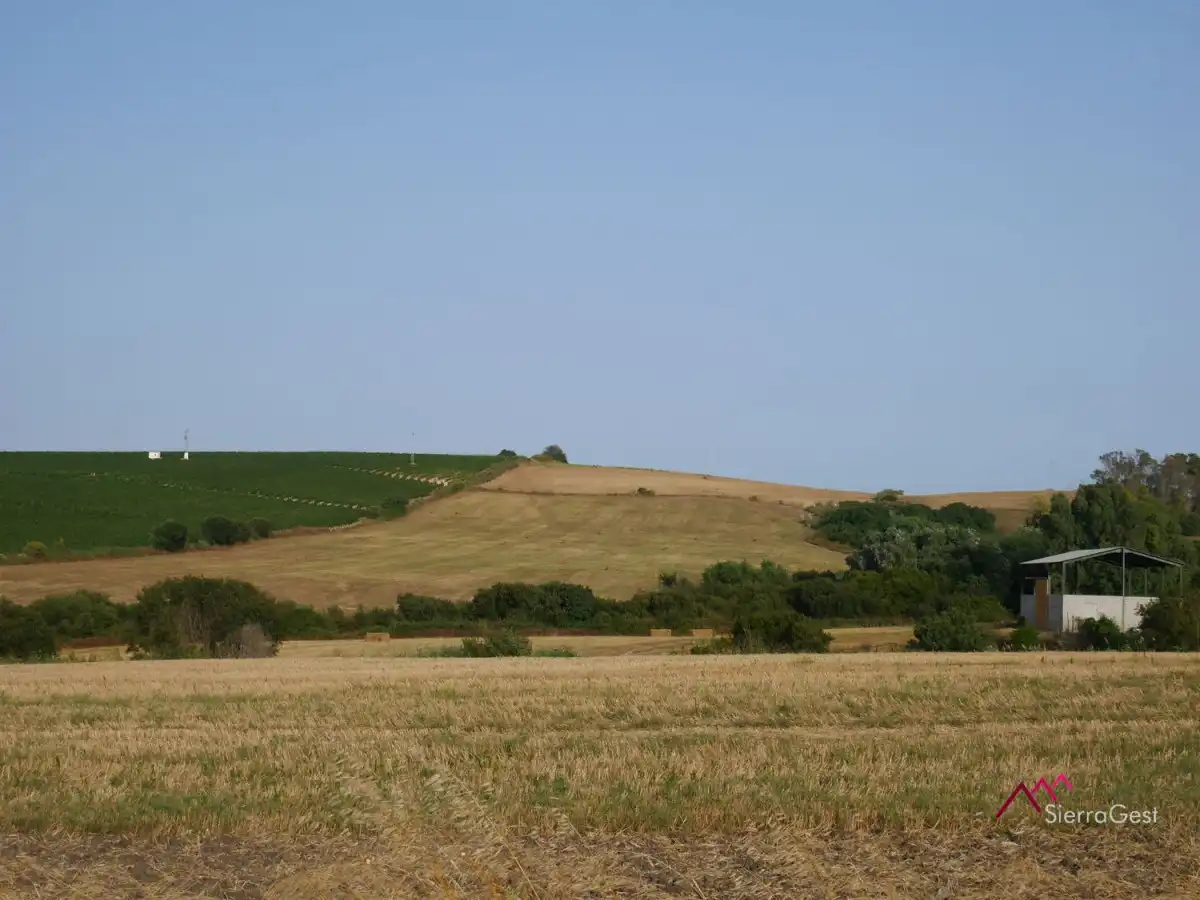 Terreno residencial en venta en Arcos de la Frontera
