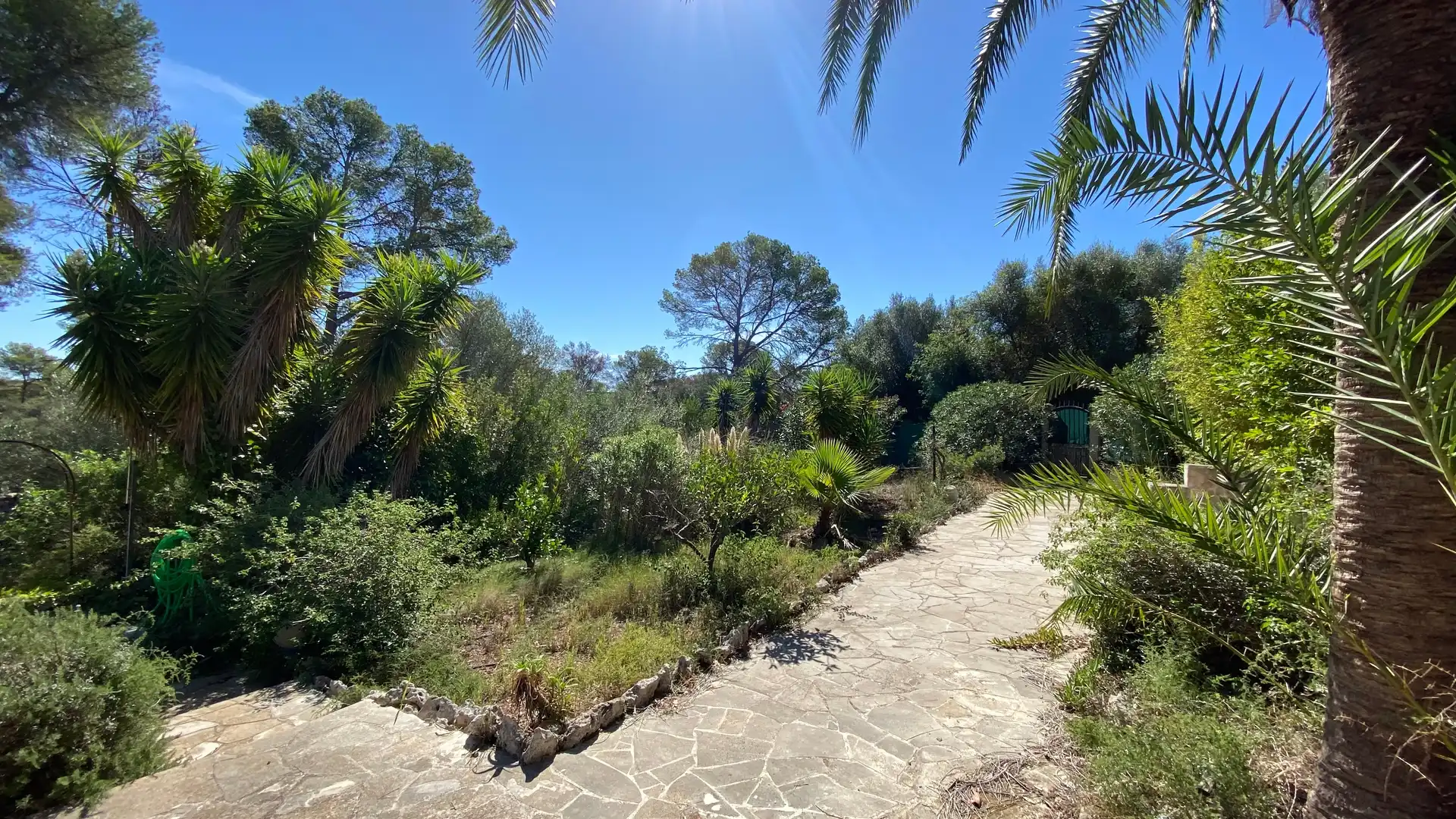 Casa rústica amb piscina en venda a Sencelles, imagen 19