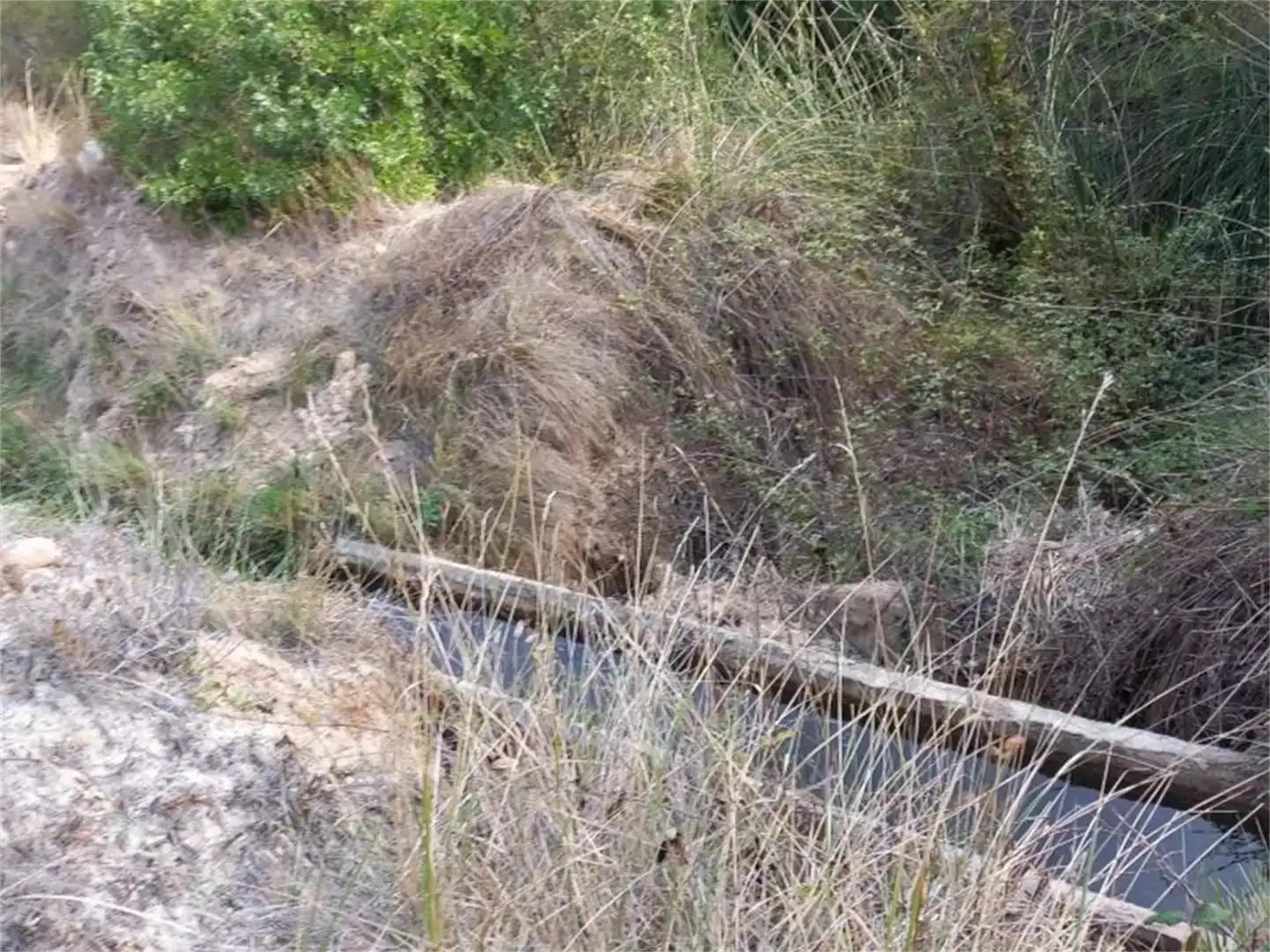 Terreno en venta en Letur