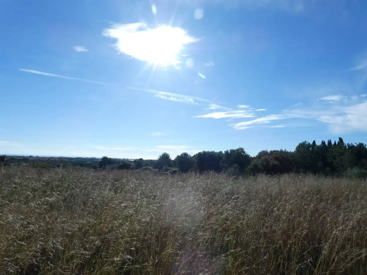 Rural land for sale in Poligono 14, PARCELA 239, imagen 3