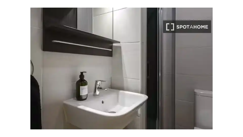 Bany de Pis de lloguer en Madrid amb Aire condicionat, Calefacció i Moblat